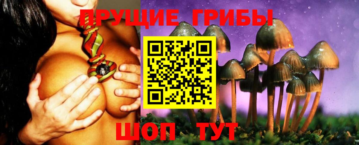 Избербаш  Псилоцибиновые грибы мухоморы  Псилоцибиновые грибы прущие грибы  Вход с VPN 